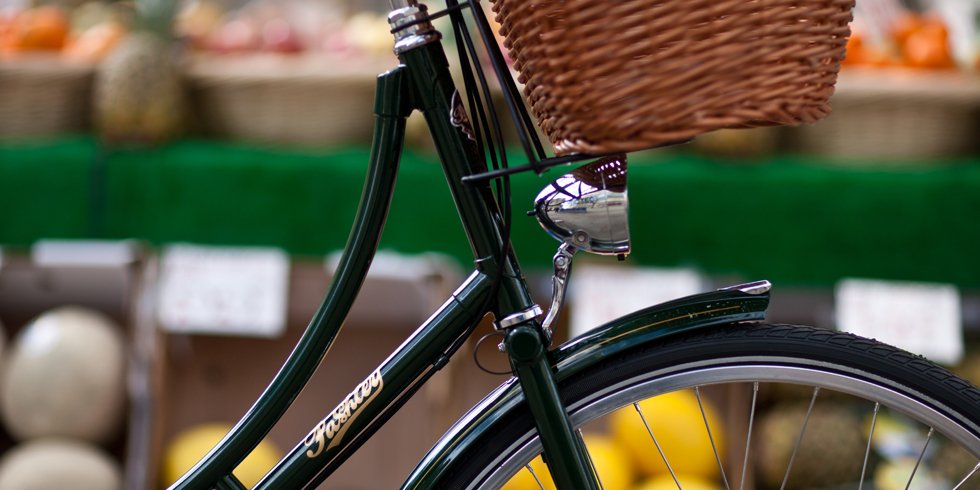 pashley rear light